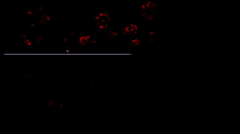 放置轨道指针到截开位置的图片