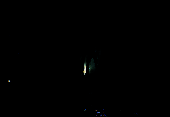 《时间旅者：重⽣曙光》相关画面