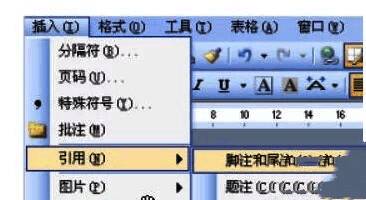 Word 2007引用选项卡中的脚注和尾注功能界面