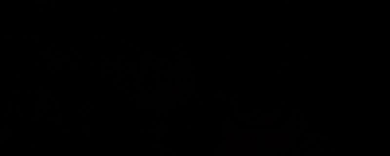 《荒野大镖客2》双动式左轮手枪外观图