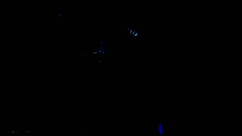 G - 109海胆眩晕手雷展示图