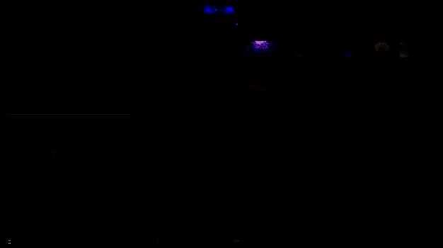 视频轨相关界面图片