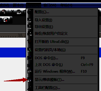 选中显示/修改模板选项的界面图片