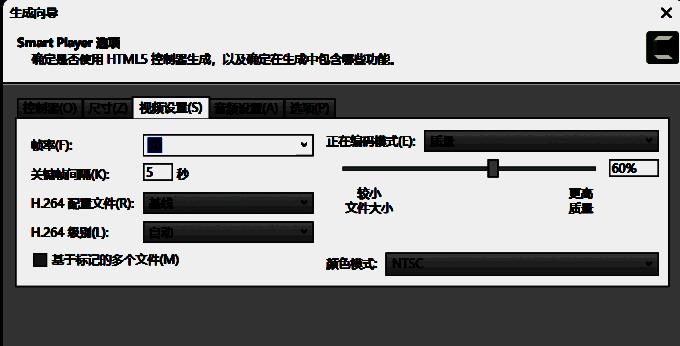Camtasia生成向导视频设置图