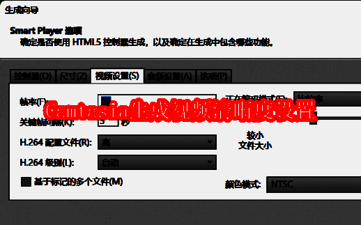 Camtasia相关界面图片