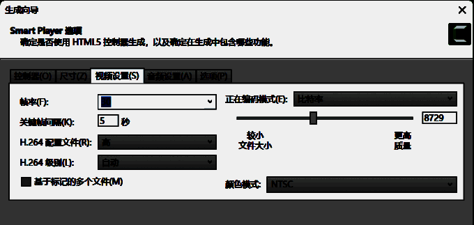 视频设置选项界面