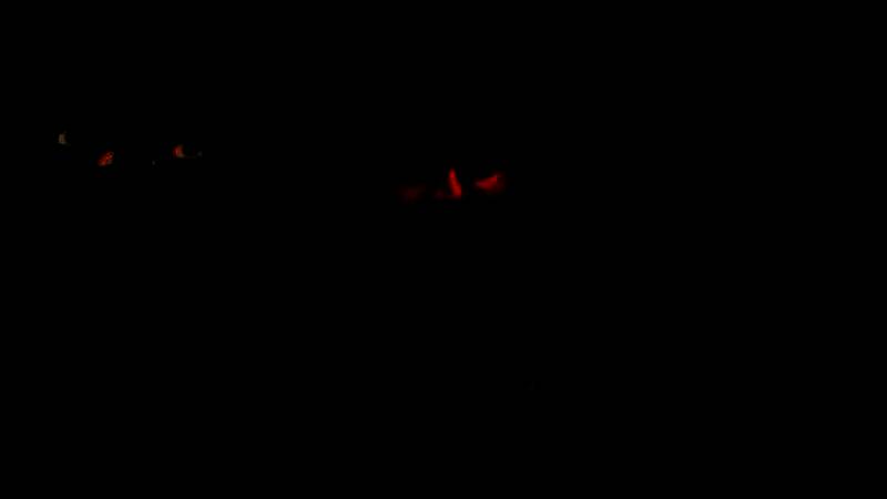 《Mewgenics》游戏画面图2