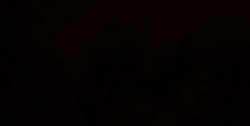 荒野大镖客2地图第二个含金条位置示意1