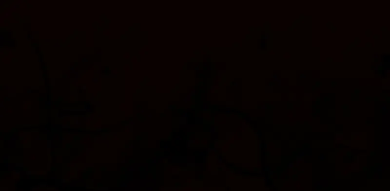 荒野大镖客2地图未开启状态示意