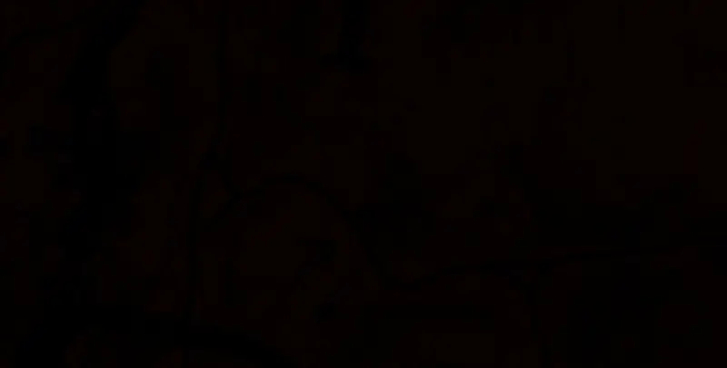 荒野大镖客2到达目标位置示意1