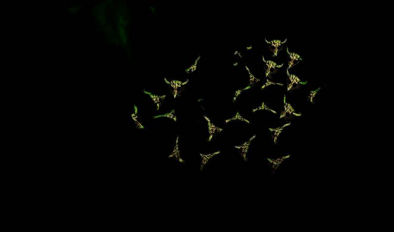 《开炮吧方舟》小僵尸敌人画面