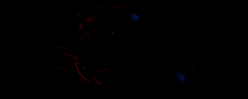 灵拳游戏相关图片1