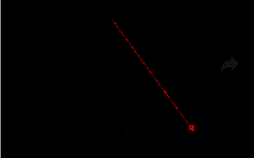 百视TV手机APP右下角我的页面截图