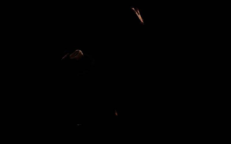 安抚安达卢西亚马的画面