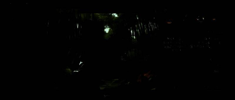 《九牧之野》华佗相关画面