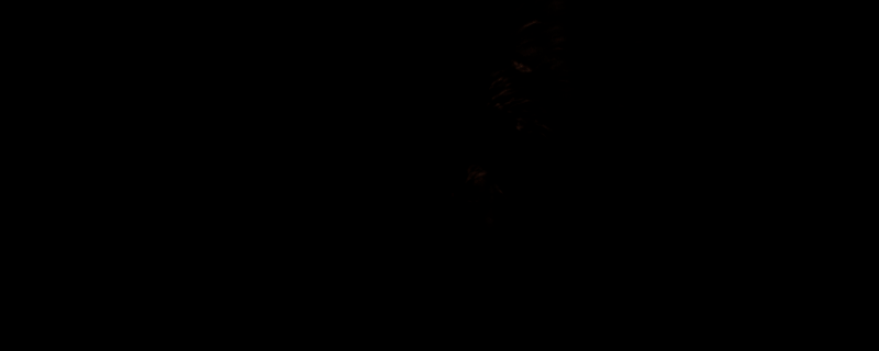 荒野大镖客2打猎场景图