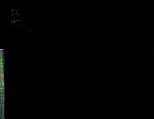 软件中尺寸或剪裁工具图标位置示例