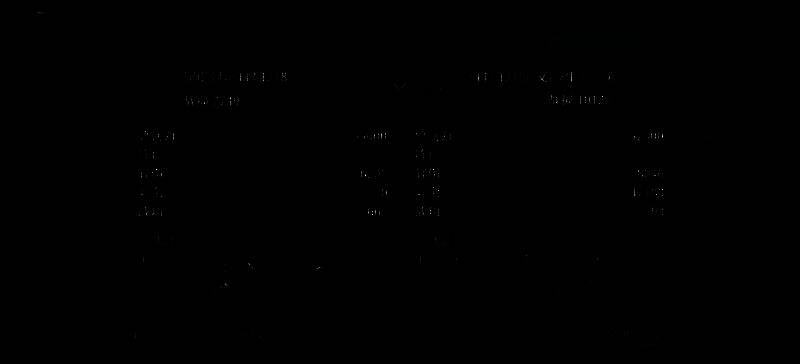 蜀国重伤威压枪阵容打架战报图片一