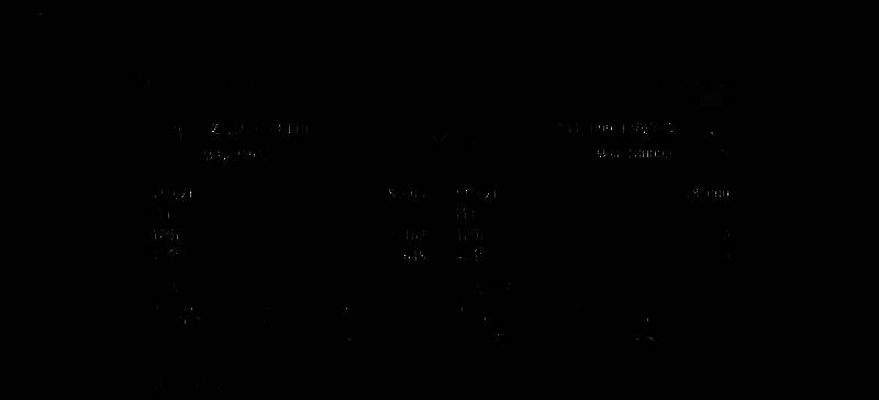魏国虎卫反击盾阵容开荒战报图1