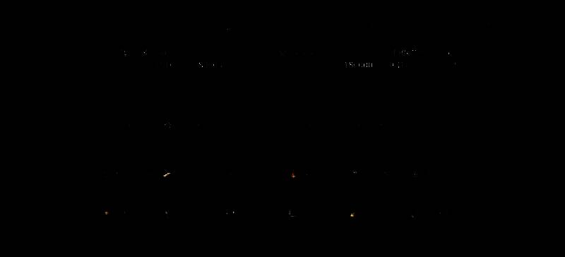 魏国虎卫反击盾阵容开荒战报图2