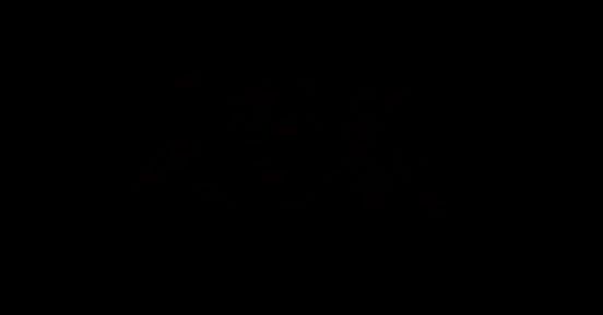 《超级忍 反攻的斩击》中文 LOGO