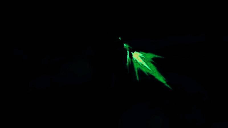 《失落之地》DLC 动画预告画面