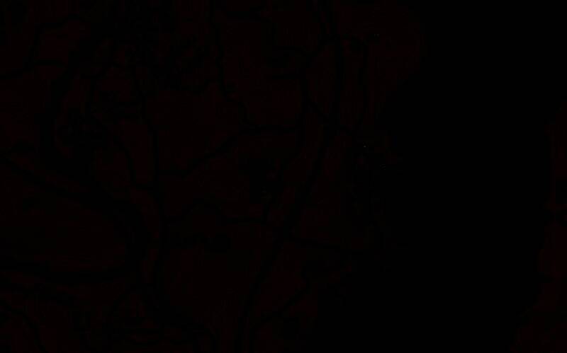 地图标注点显示在范霍恩贸易站左侧区域