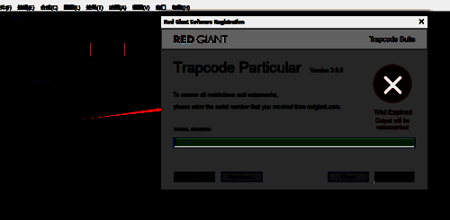 输入序列号后的注册成功界面展示