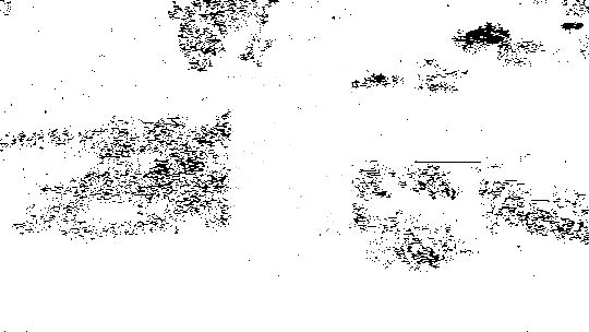 游戏内华山论剑战斗场景，光影交错，招式华丽