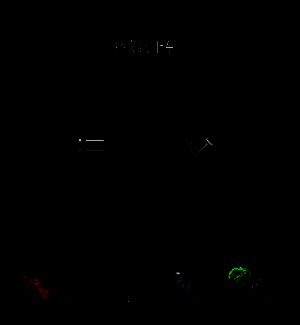 改造四所需进阶材料清单及获取方式说明