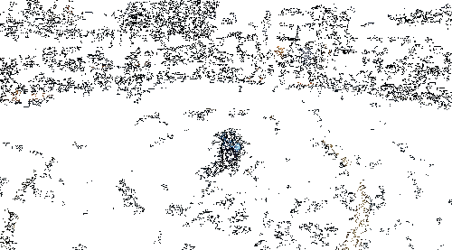 角色进入化麟·镇海状态，尺阙释放蓝色冲击波，敌人被定身并减速