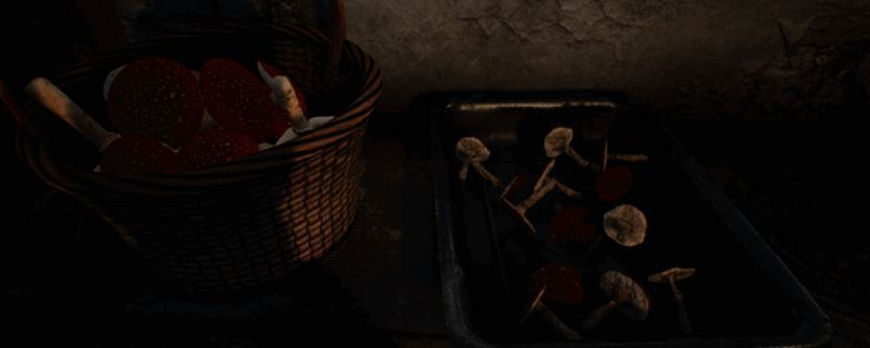 Mushroom Hunter Simulator 游戏封面图，展示森林中采集蘑菇的游戏场景