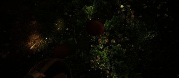 游戏中的腌制界面展示多种蘑菇浸泡在调味汁中的画面