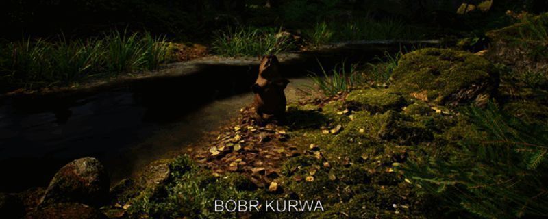 Mushroom Hunter Simulator游戏封面图，画面中展示了一片神秘森林与蘑菇采集场景