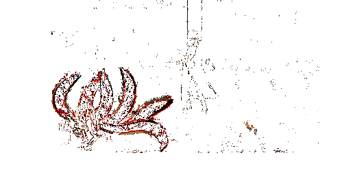 九尾之爪三段重击地面特效