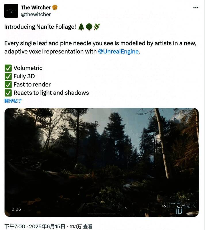 《巫师4》中使用Nanite技术渲染的森林场景，树木枝叶细节清晰可见