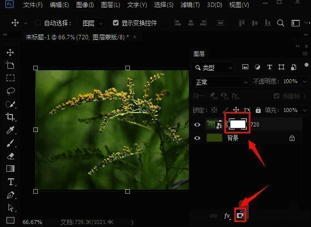 图层面板中显示已添加白色蒙版本的图片图层
