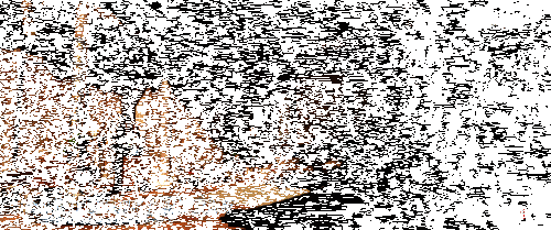 《逆水寒》手游全景光追效果展示，光影细节逼真细腻