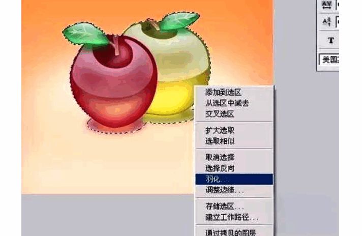 使用套索工具进行羽化设置的操作界面展示