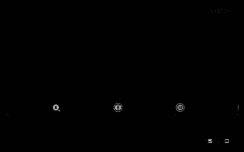 游戏中玩家驾驶马车穿越森林场景