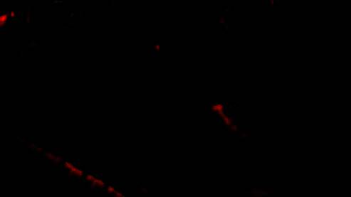 角色在探险途中遭遇恶龙，展开激烈对抗