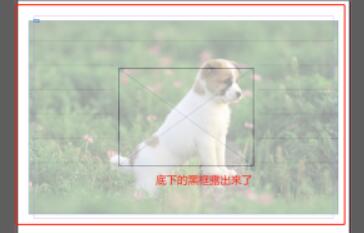 最终效果图展示，图片明显变得半透明，与背景形成柔和叠加效果