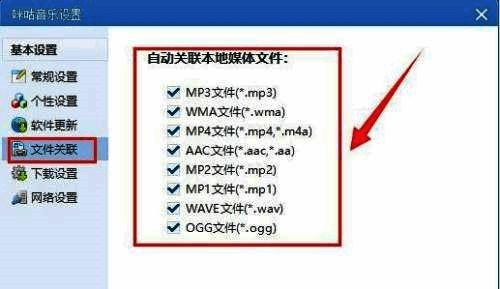 文件关联设置界面展示多种音频格式可勾选