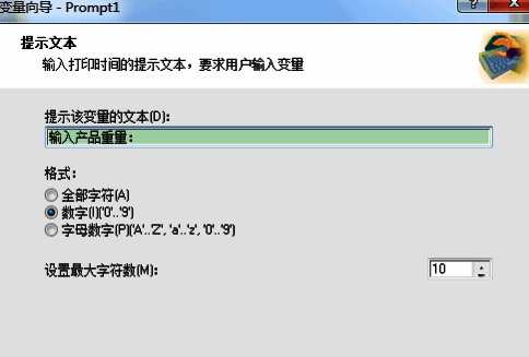 NiceLabel变量属性设置对话框界面截图