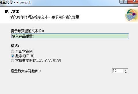 变量属性设置界面，显示输入提示和字符限制设置