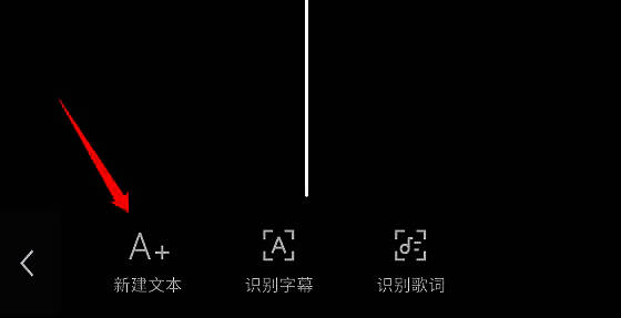 字幕输入完成后的预览效果截图