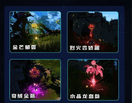 玩家角色在野外探索，周围散落着各种魂环和资源道具