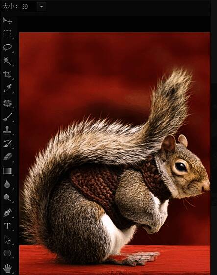 Photoshop选择并遮住面板，显示净化颜色选项已被勾选