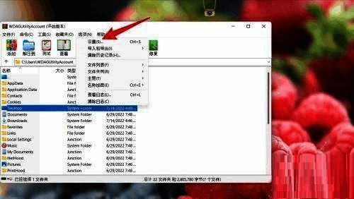 WinRAR设置界面，左侧导航栏选中‘查看器’选项，右侧显示默认设置内容