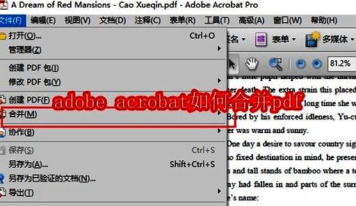 Adobe Acrobat 文件菜单界面，展示合并选项